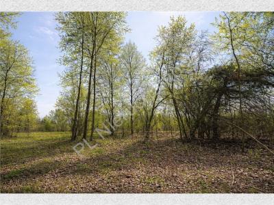 Działka na sprzedaż Terenia