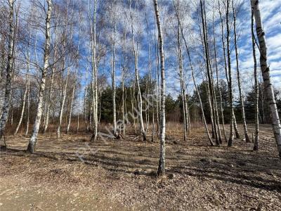 Działka na sprzedaż Jastrzębnik