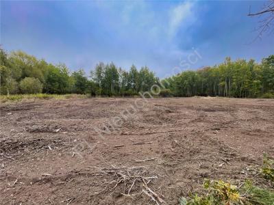 Działka na sprzedaż Janinów