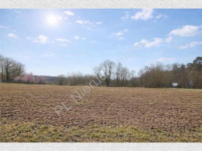 Działka na sprzedaż Płochocin