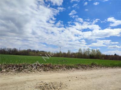 Działka na sprzedaż Odrano-Wola