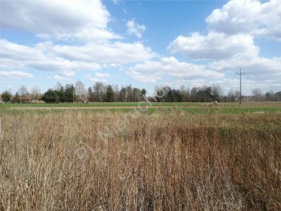 Działka na sprzedaż Dębe Wielkie
