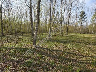 Działka na sprzedaż Adamowizna