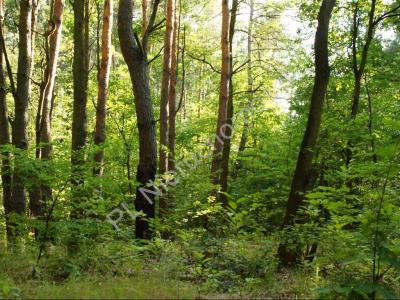 Działka na sprzedaż Książenice