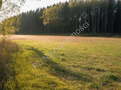 Działka na sprzedaż Strzeniówka