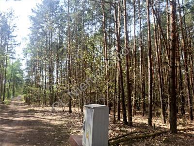 Działka na sprzedaż Drożdżówka