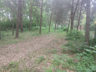 Działka na sprzedaż Komorów