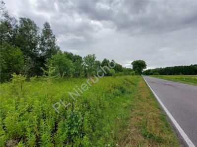 Działka na sprzedaż Poświętne