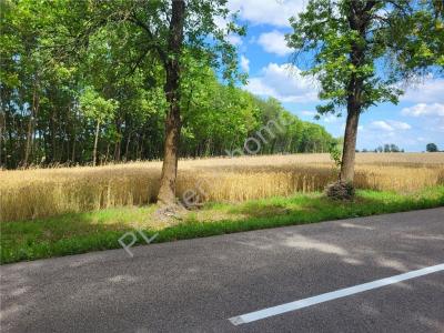Działka na sprzedaż Piaseczno