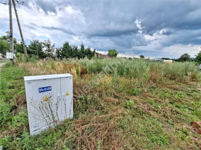 Działka na sprzedaż Wielgolas