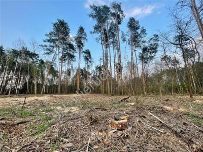Działka na sprzedaż Odrano-Wola