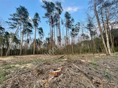 Działka na sprzedaż Odrano-Wola