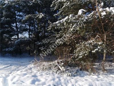 Działka na sprzedaż Budy-Grzybek