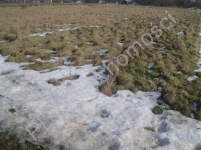 Działka na sprzedaż Budy Zosine