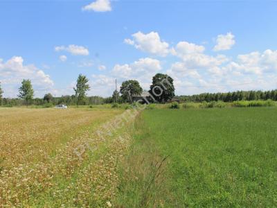 Działka na sprzedaż Wszebory