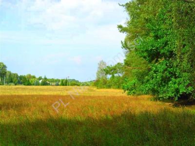 Działka na sprzedaż Mlęcin