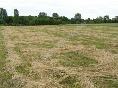 Działka na sprzedaż Karnice