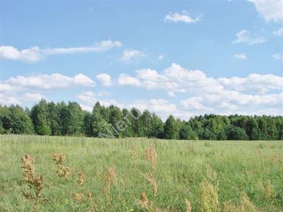 Działka na sprzedaż Tłumy