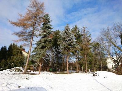 Działka na sprzedaż Opacz-Kolonia