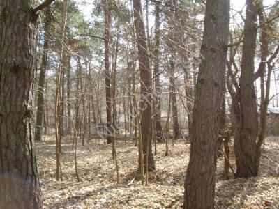 Działka na sprzedaż Wiązowna Kościelna