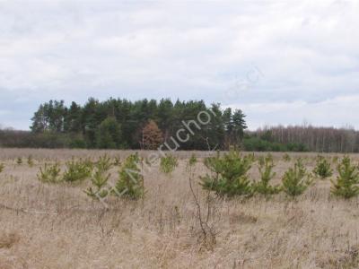 Działka na sprzedaż Aleksandrów