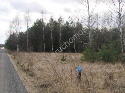 Działka na sprzedaż Many