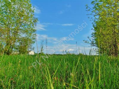 Działka na sprzedaż Stary Kraszew