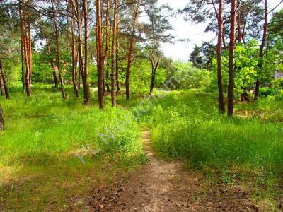 Działka na sprzedaż Sulejówek